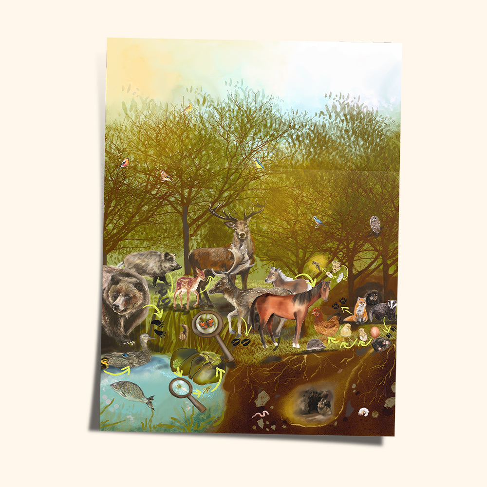 Magnetic building blocks COLORMAG CLEAR