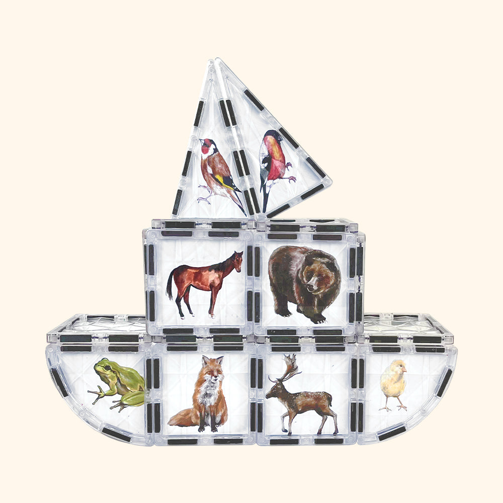 Magnetic building blocks COLORMAG CLEAR