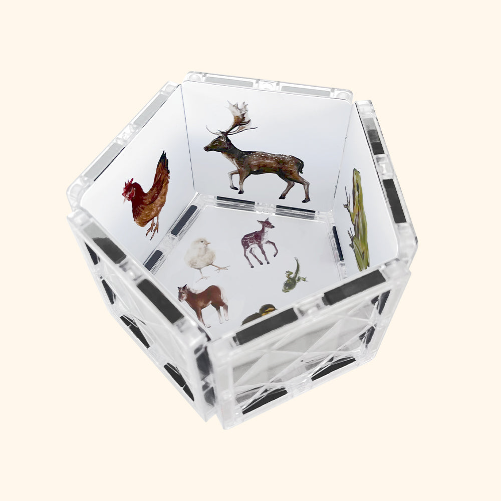 Magnetic building blocks COLORMAG CLEAR