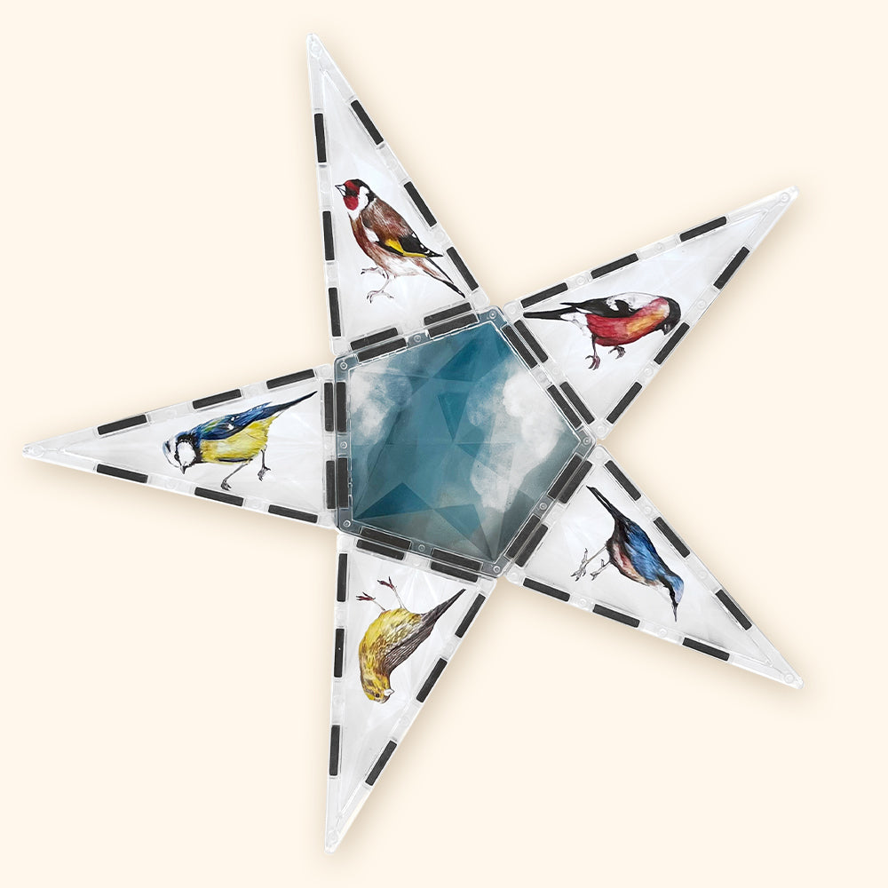 Magnetic building blocks COLORMAG CLEAR