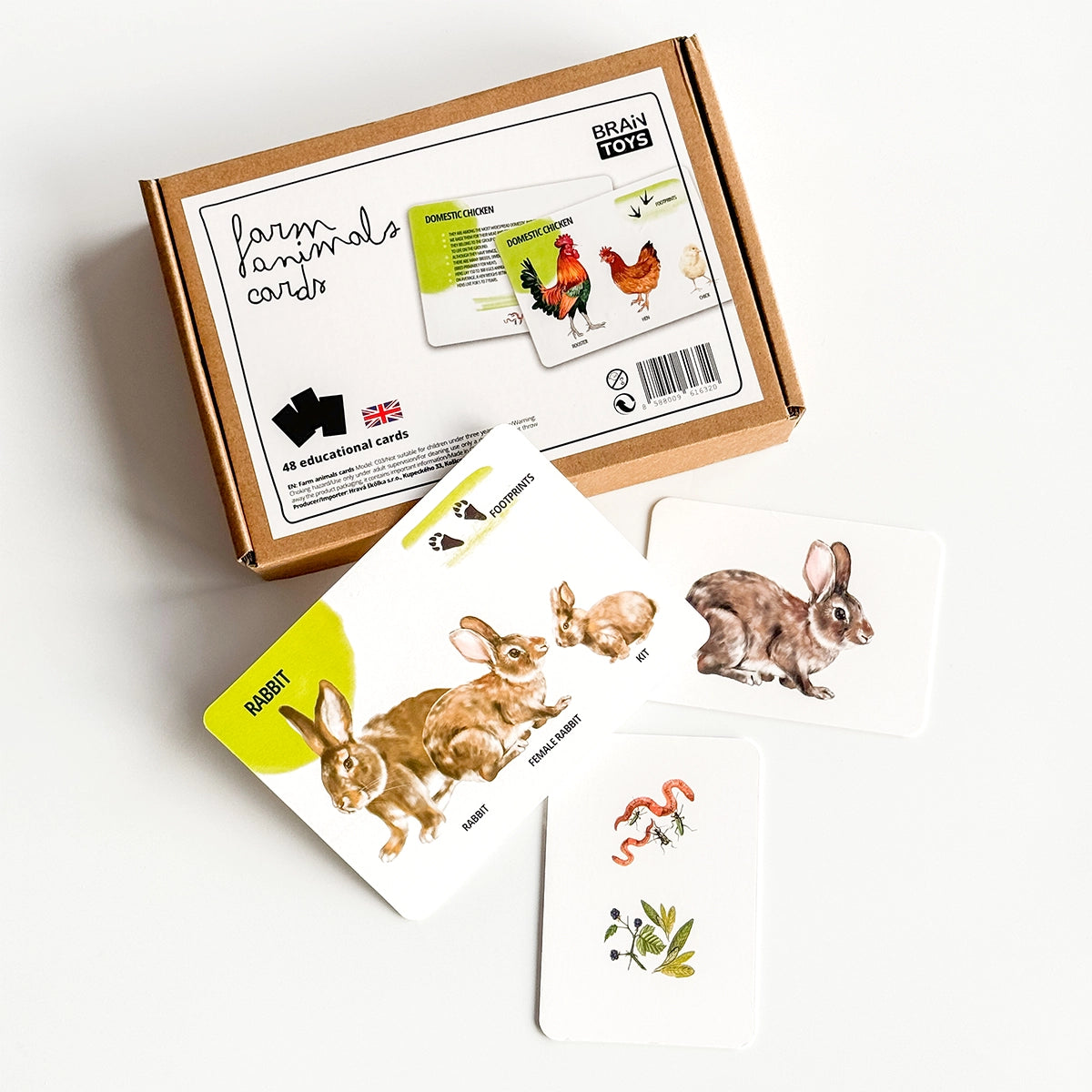 Educational Card Set: Farm Animals