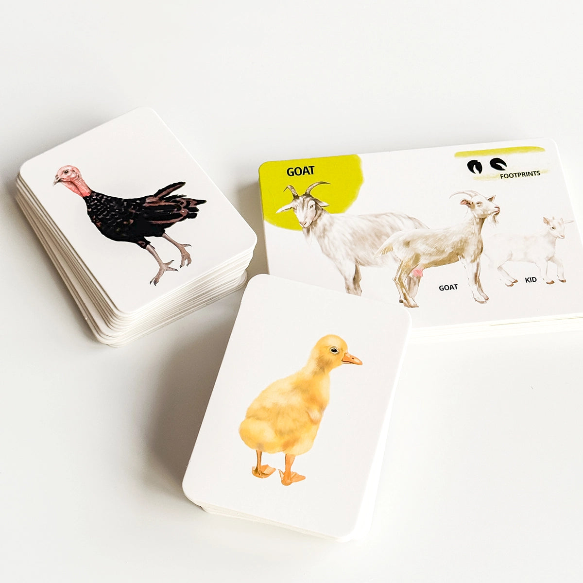 Educational Card Set: Farm Animals