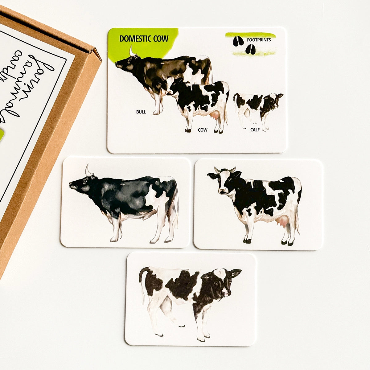 Educational Card Set: Farm Animals