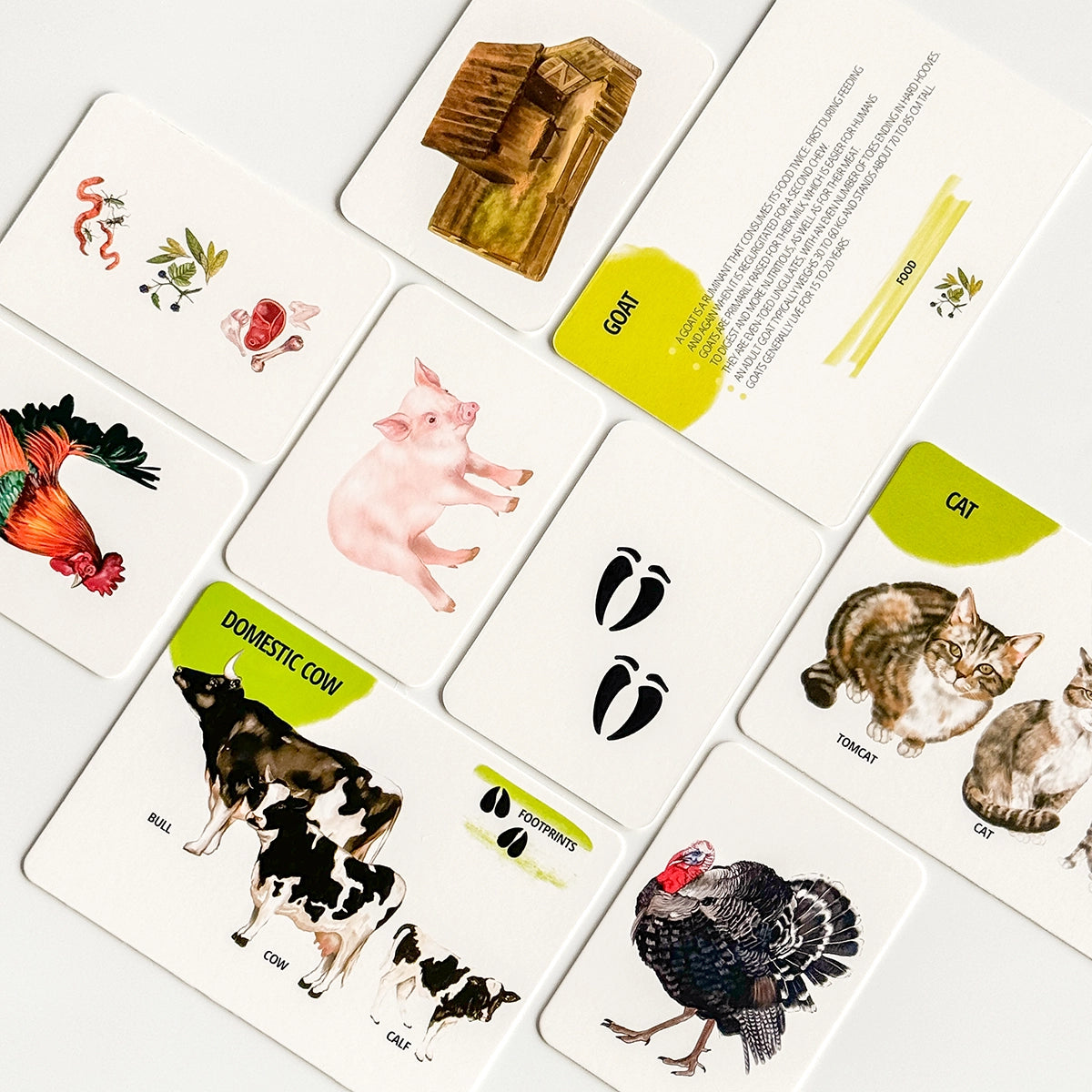 Educational Card Set: Farm Animals