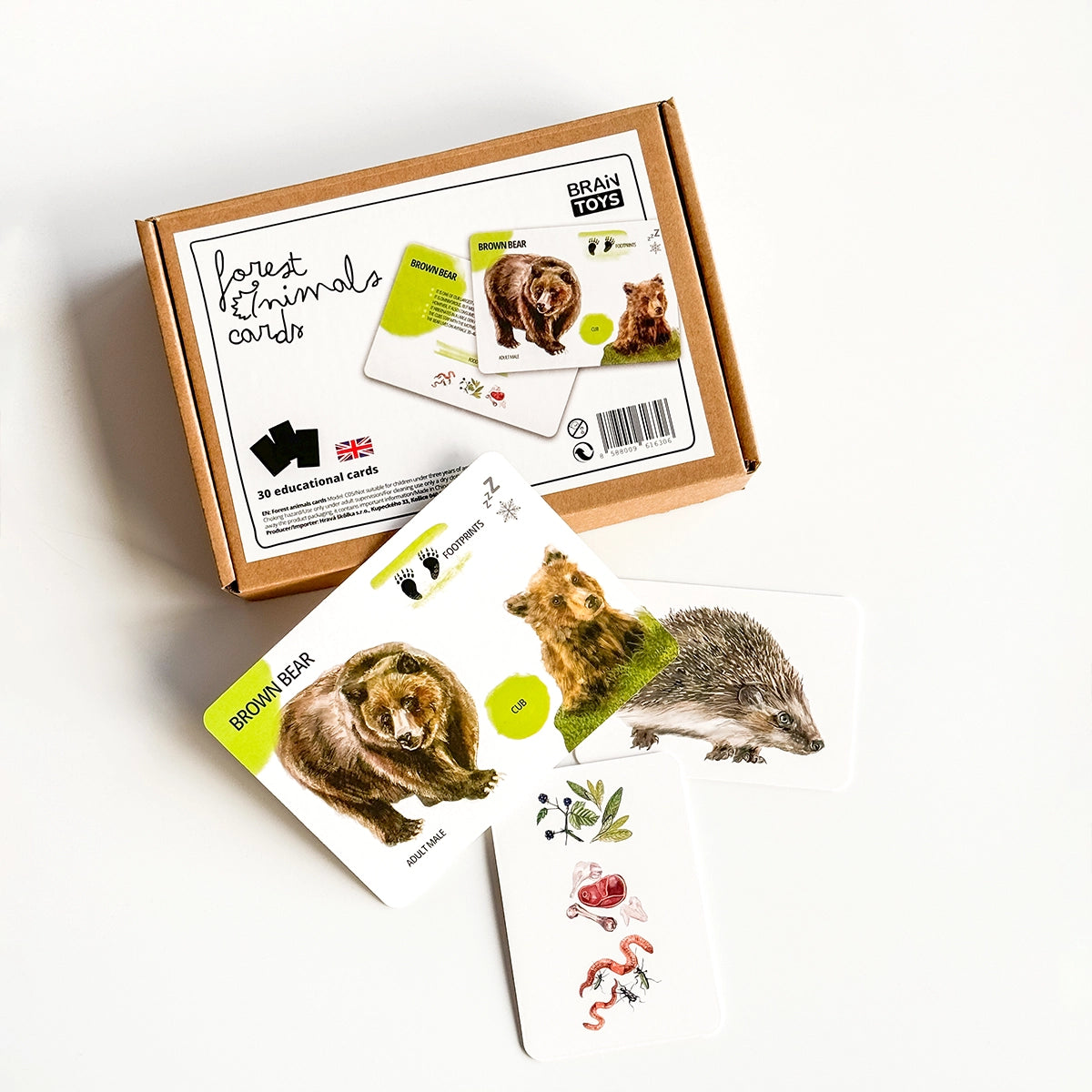 Educational Card Set - Forest Animals