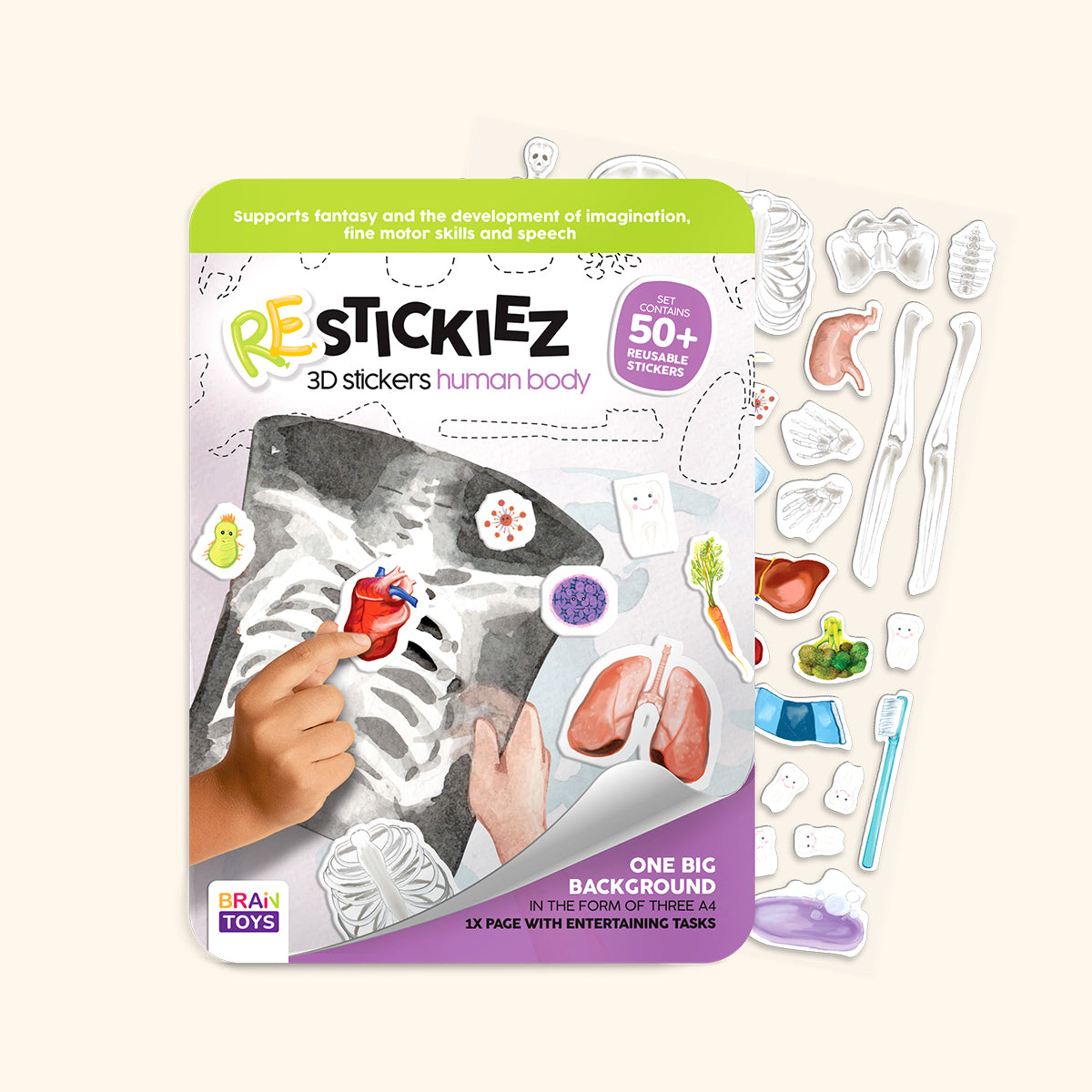 3D REstickiez - Human Body