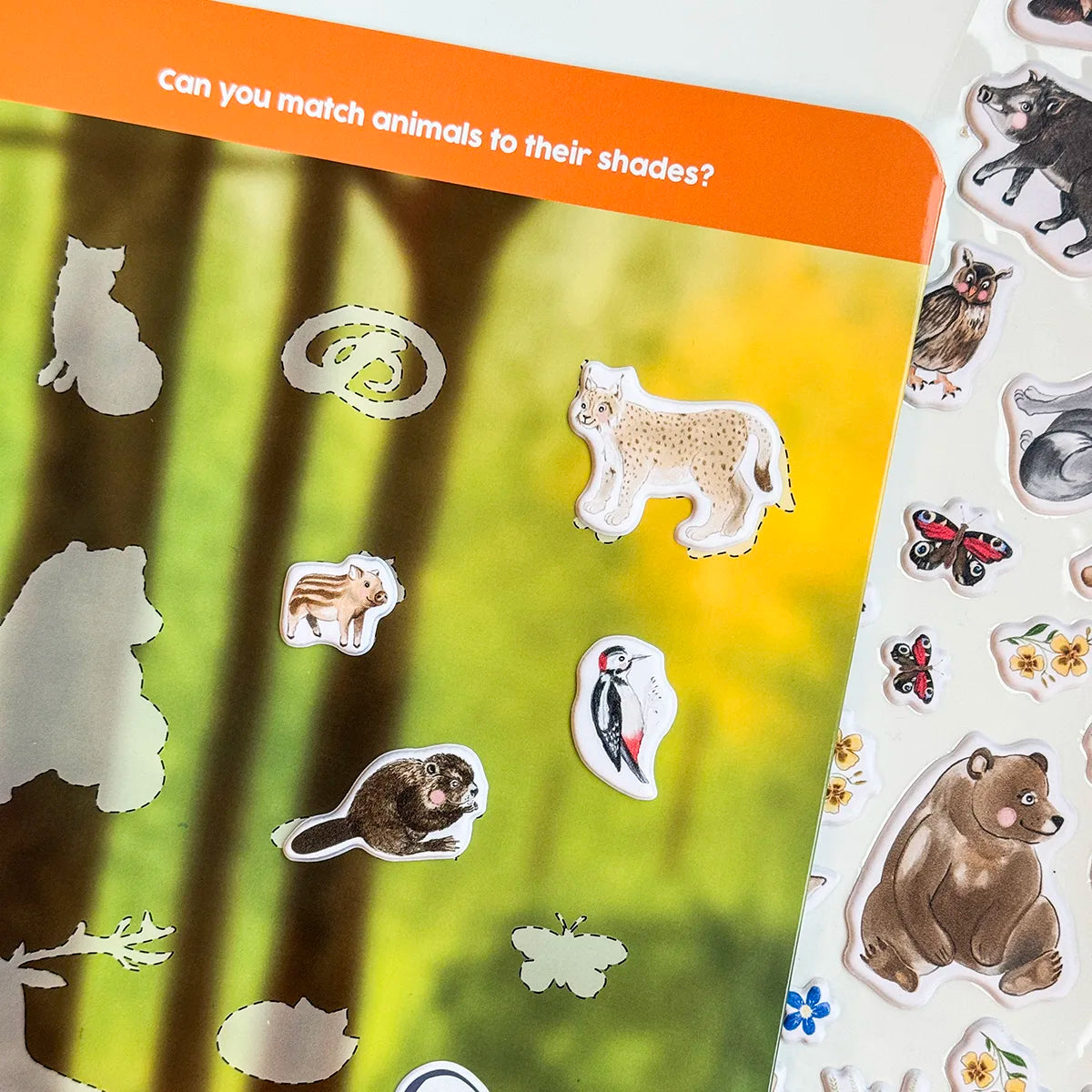 3D REstickiez - Forest