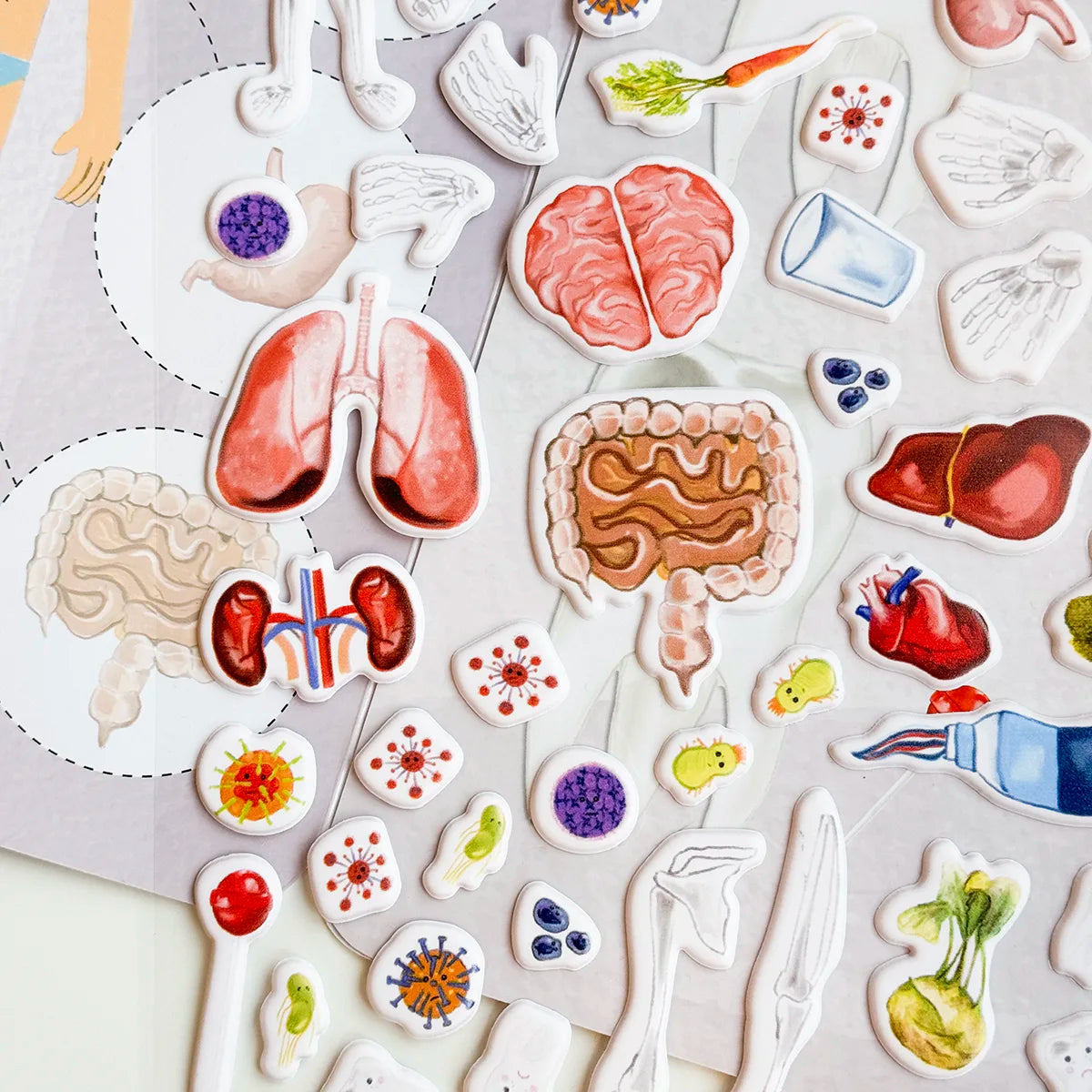 3D REstickiez - Human Body