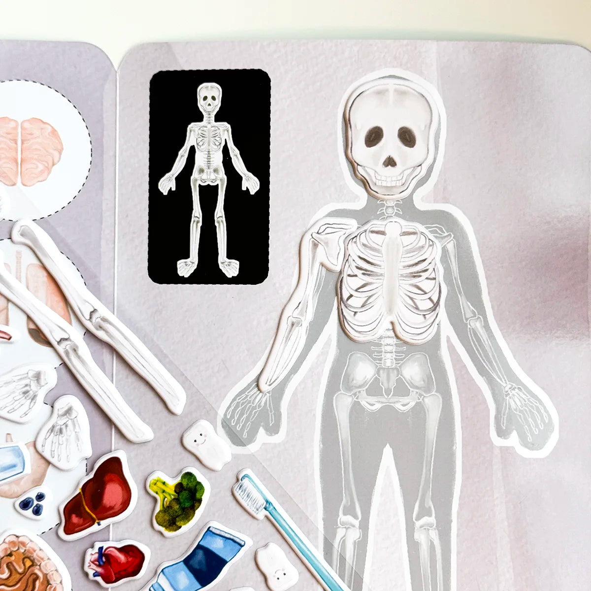 3D REstickiez - Human Body