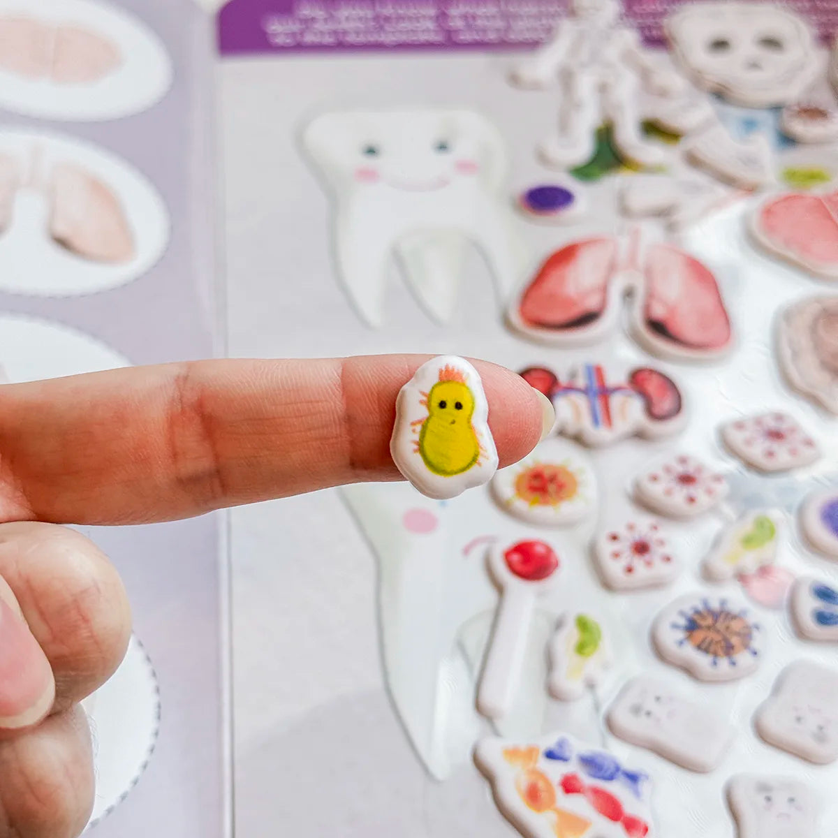 3D REstickiez - Human Body