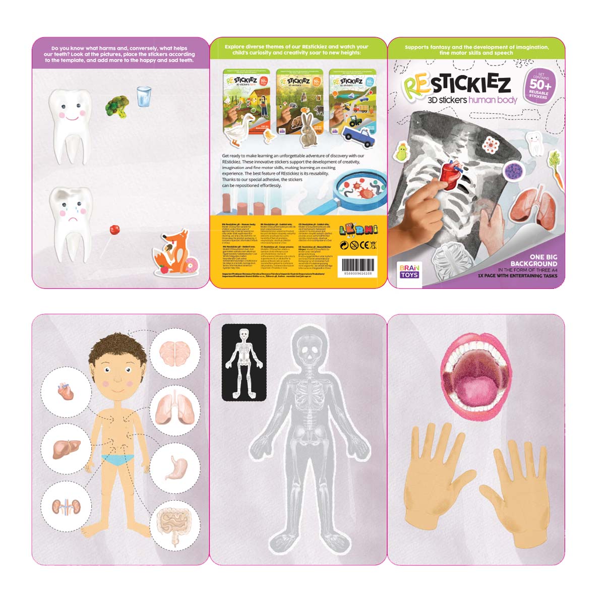 3D REstickiez - Human Body