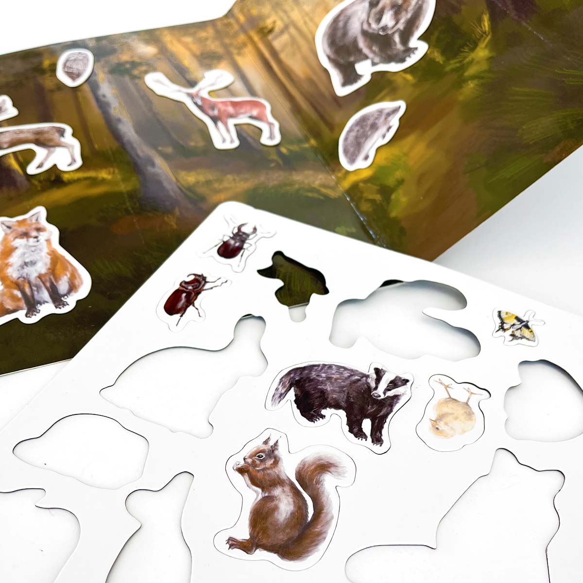 Magbook set of 4 magnetic books with a 25% discount