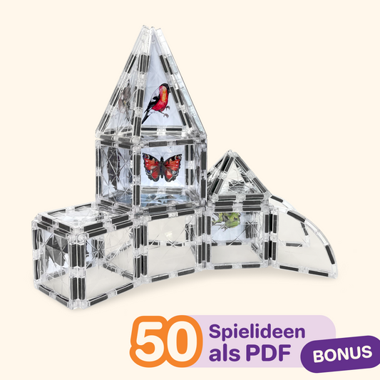 Magnetic building blocks COLORMAG CLEAR