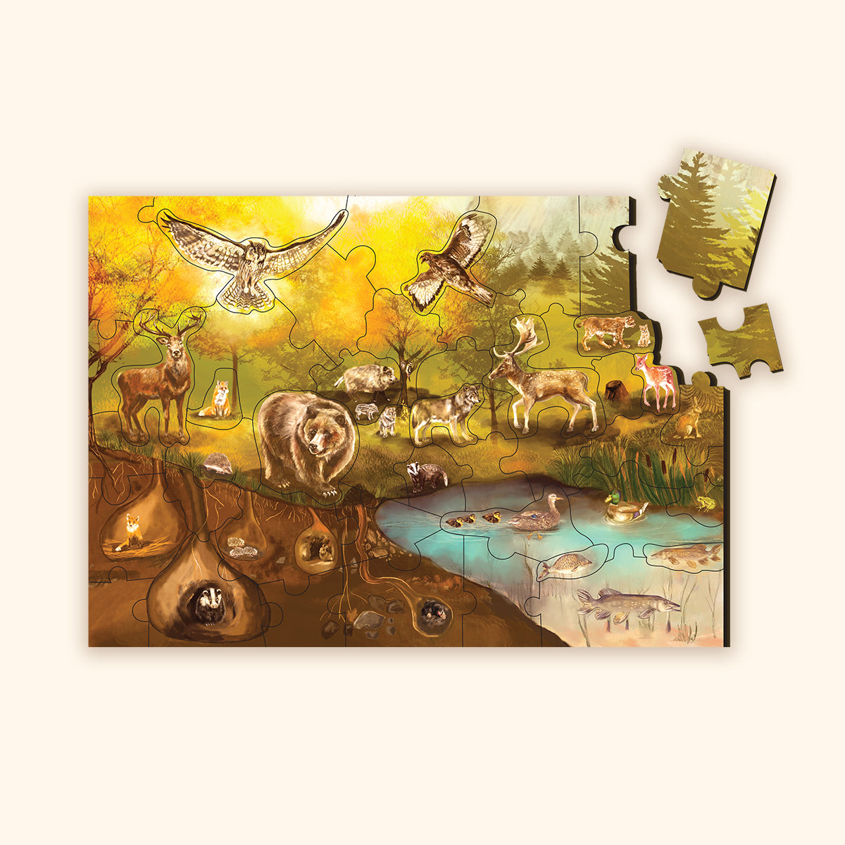 Forest Floor Puzzle