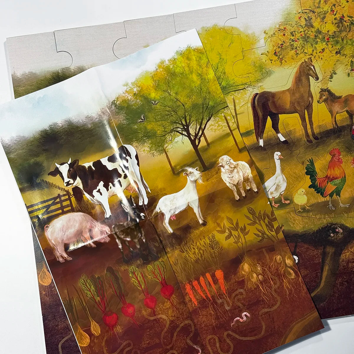 Farm Floor Puzzle