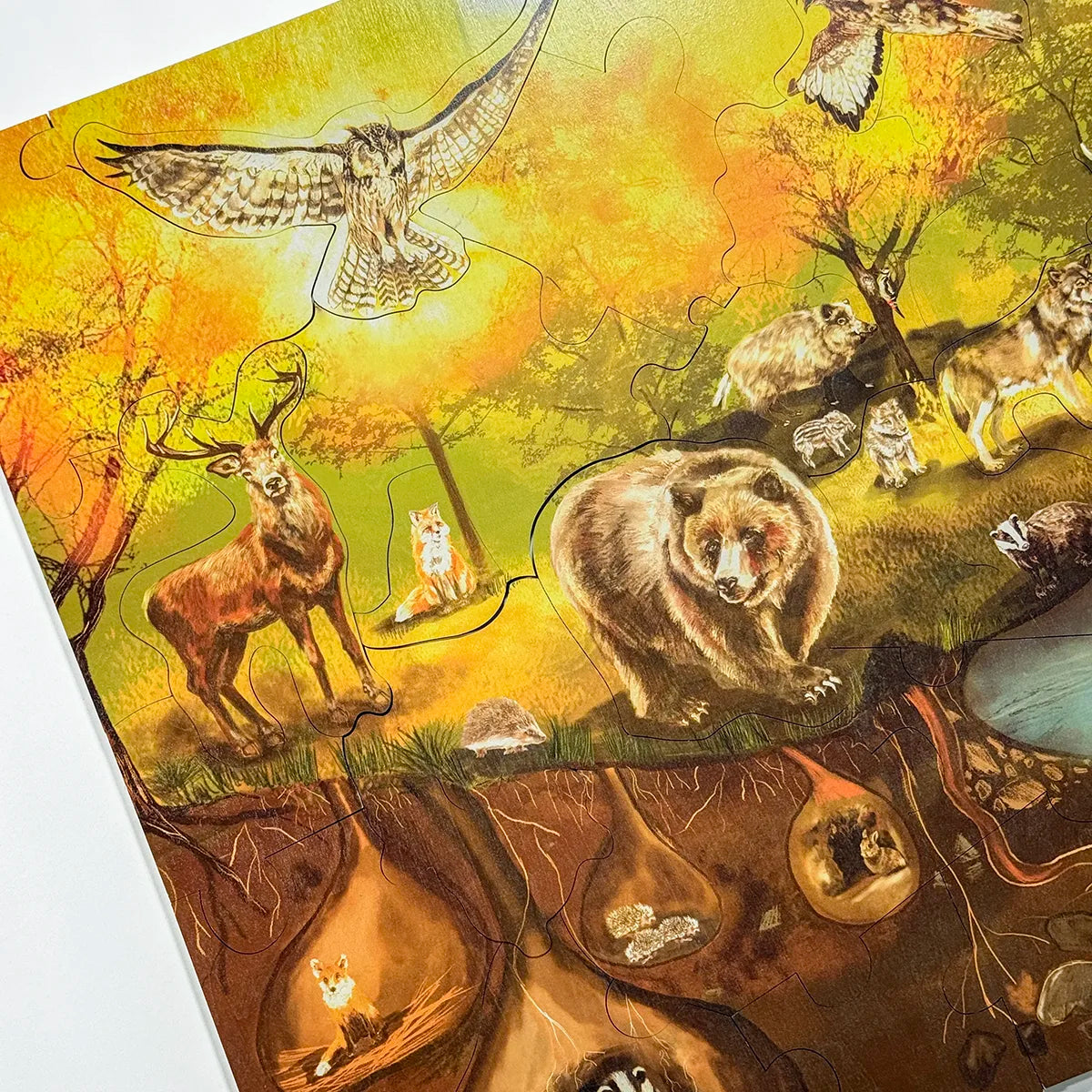 Forest Floor Puzzle