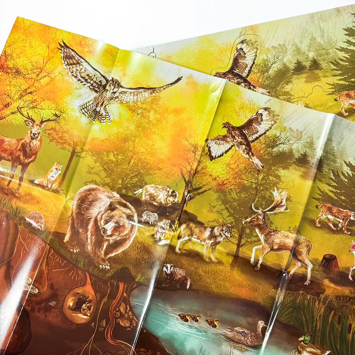 Forest Floor Puzzle