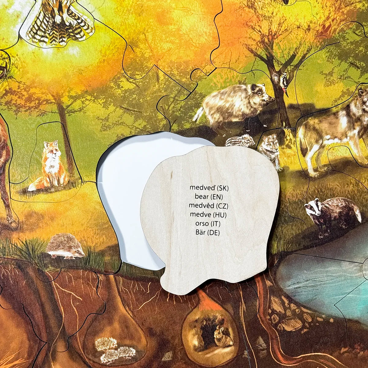 Forest Floor Puzzle