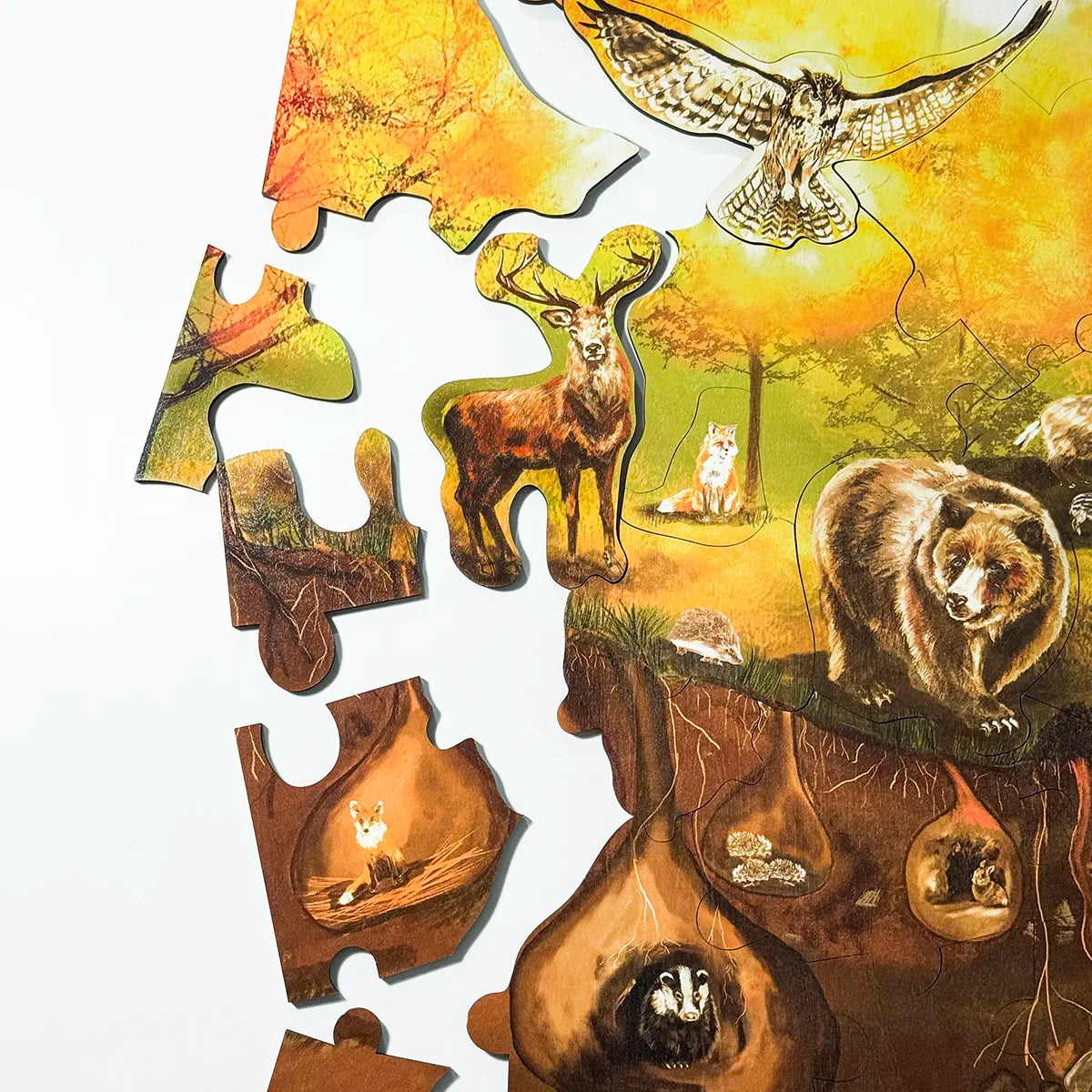 Forest Floor Puzzle