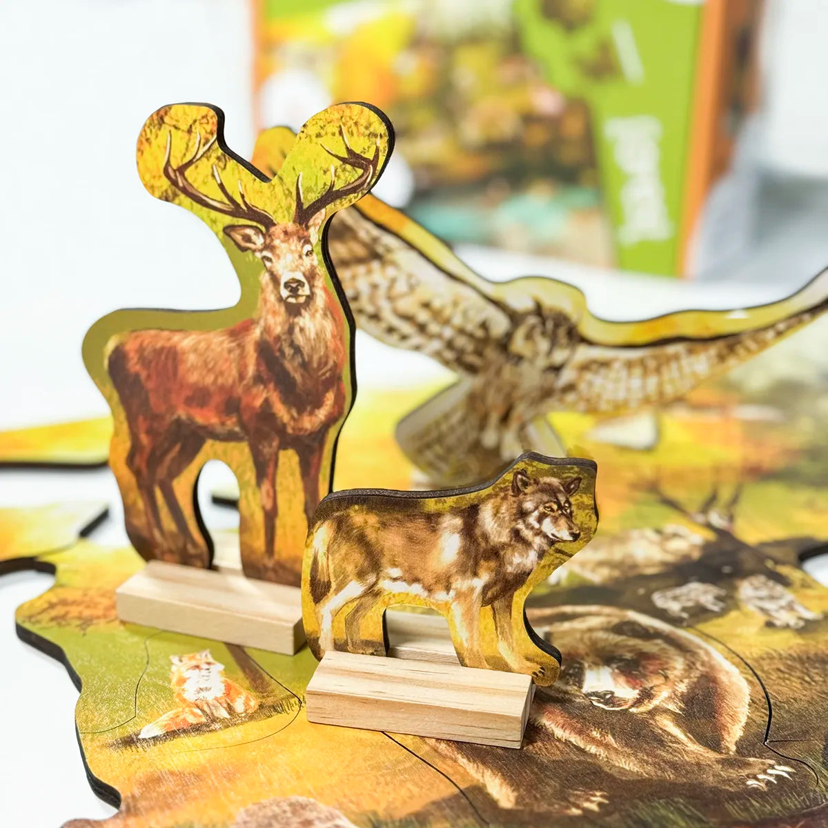 Forest Floor Puzzle