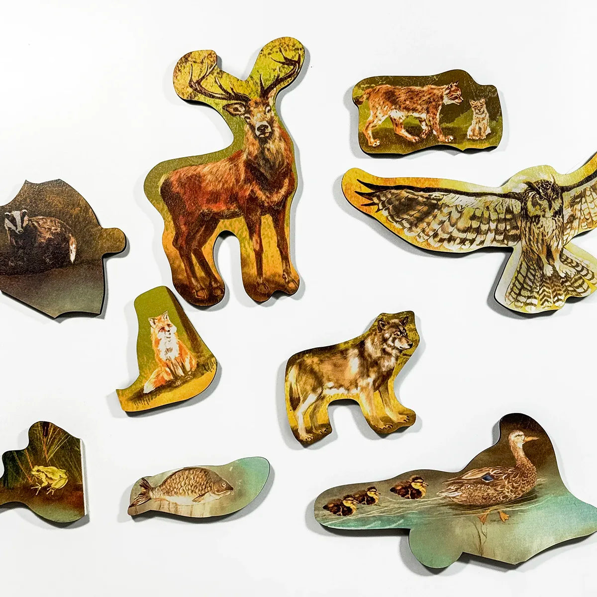 Forest Floor Puzzle